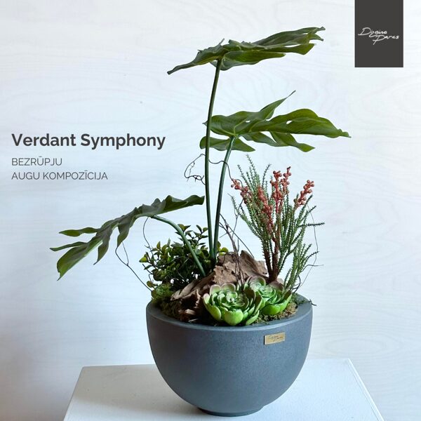 VERDANT SYMPHONY