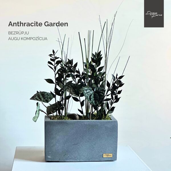 ANTHRACITE GARDEN