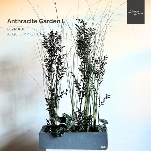 ANTHRACITE GARDEN L