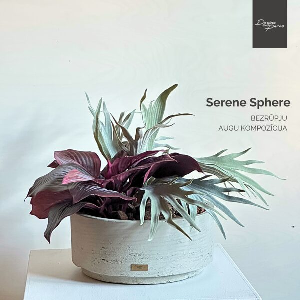 SERENE SPHERE