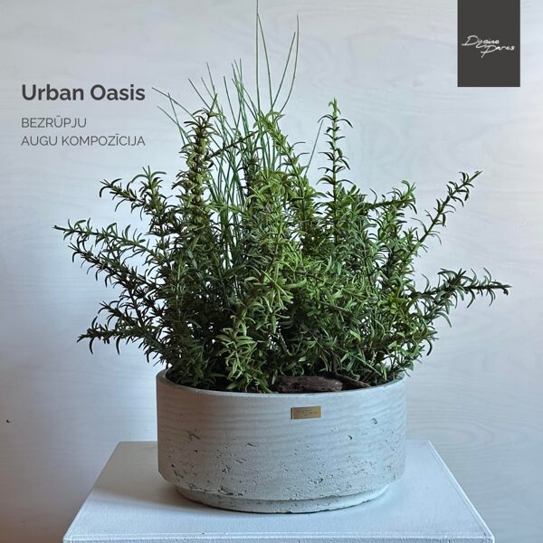 URBAN OASIS